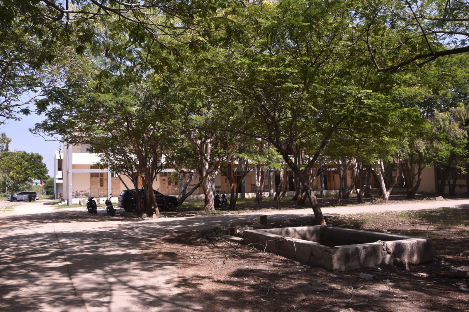 Nature on Campus